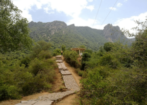 Amirthi Forest Vellore