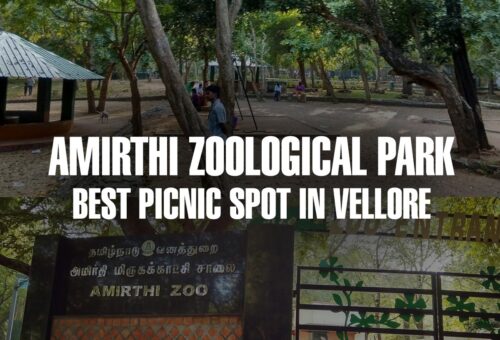 Amirthi Zoological Park Best Picnic Spot in vellore