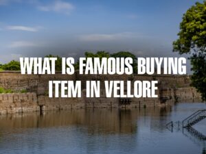 Famous buying in Vellore