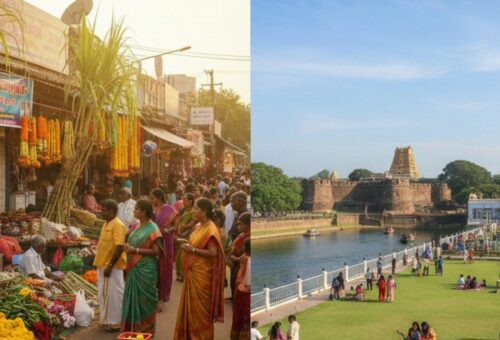 Pongal Shopping and Kanum Pongal Tourist Spots in Vellore