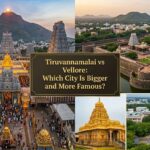 Tiruvannamalai vs Vellore Which City Is Bigger and More Famous