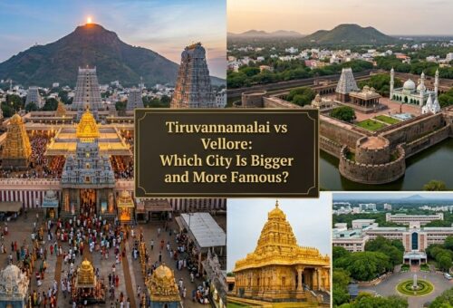 Tiruvannamalai vs Vellore Which City Is Bigger and More Famous